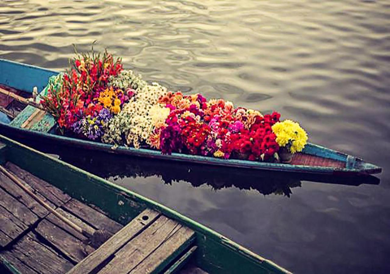 Chicago Group Of Houseboats Ξενοδοχείο Σριναγκάρ Εξωτερικό φωτογραφία